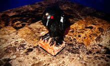 Resin Poured Raven