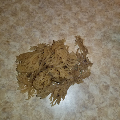 Irish Moss 1 Oz.