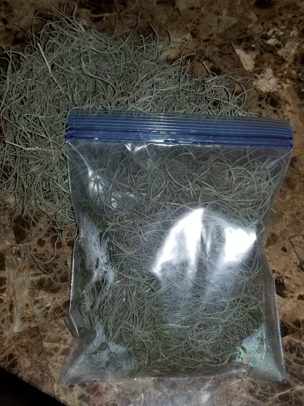 Spanish Moss 1 Qt Bag