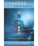 Chakras Beyond Beginners by David Pond