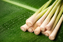 Lemongrass 1 Oz. or 1 Lb.