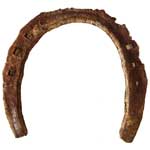 Used Horseshoe